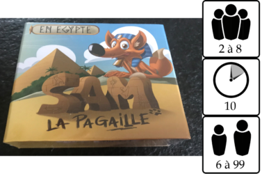 Sam la pagaille