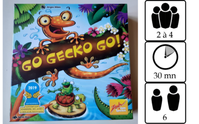 Go gecko go