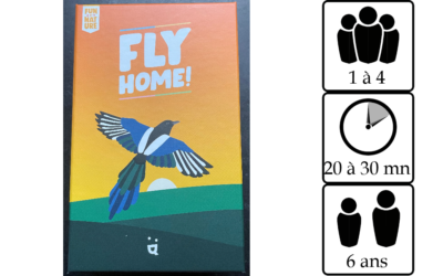 Fly home
