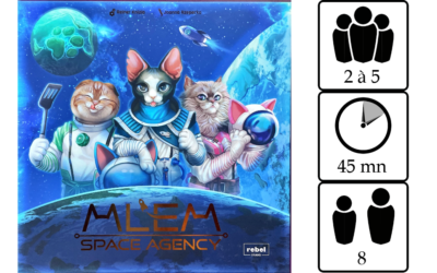 MLEM Space Agency